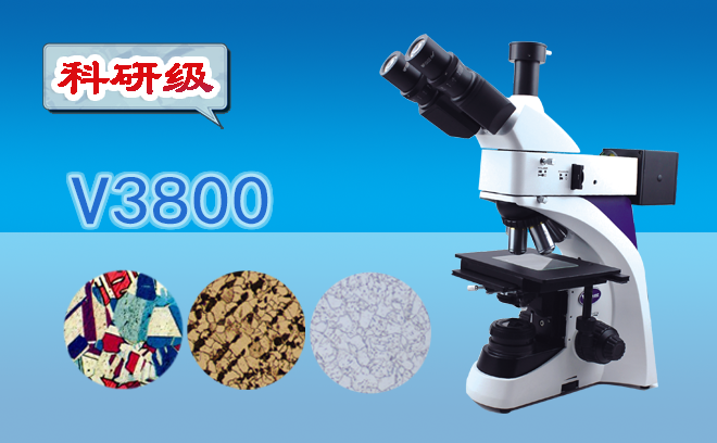 三目金相小优视频官网版下载V3800
